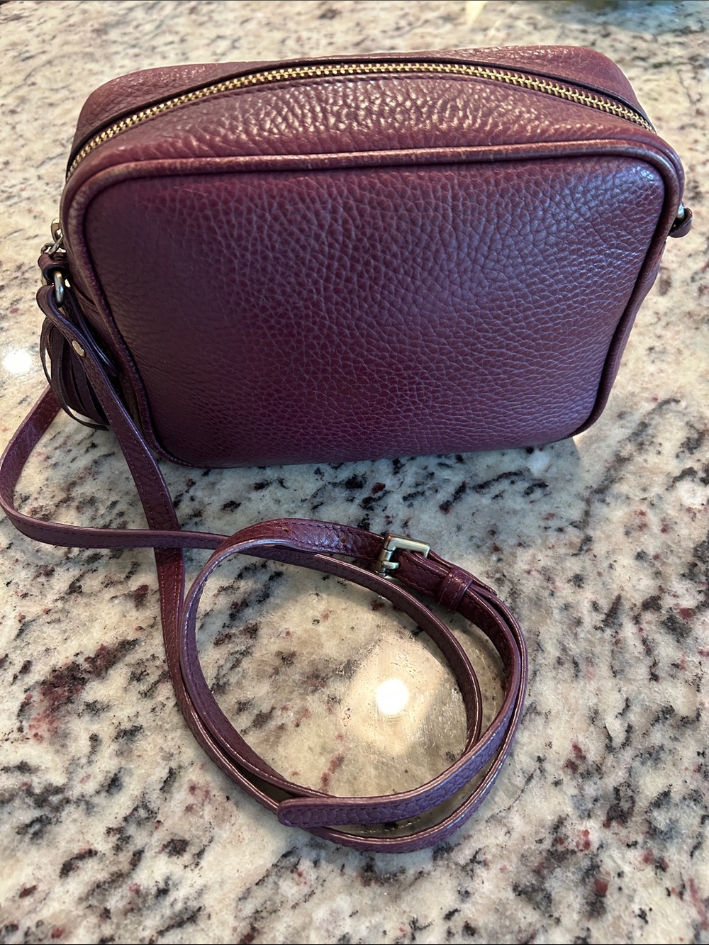 Gigi New York “Madison” Leather Crossbody Bag in Plum